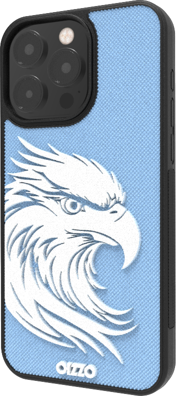 OIZZO EAGLE - FROSTY SKIES